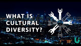 What is cultural diversity  Language Insight [upl. by Lebezej473]