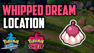 Where to Find Whipped Dream  Pokemon Sword amp Shield All Methods [upl. by Haydon]