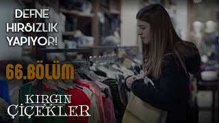 Kırgın Çiçekler 66 Bölüm  Defne hırsızlık yapıyor [upl. by Winer]