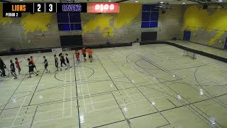 Toronto Floorball League Live Stream [upl. by Selia]