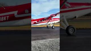 De Havilland DHC3 Turbo Otter N838kT taxi takeoff taildragger bushplane aviation alaska aopa [upl. by Aramat]