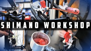 AUSFÜHRLICHER SHIMANO BREMSEN WORKSHOP  MONTAGE ENTLÜFTEN amp EINSTELLEN 1000 € HARDTAIL PROJEJEKT [upl. by Elleoj]