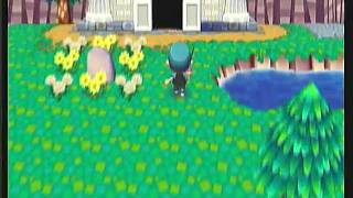 Animal Crossing City Folk  Tour of My Town 2011 [upl. by Yvonner]