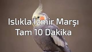 Islıkla İzmir Marşı  Sultan Papağanı İzmir Marşı Eğitimi  Tam 10 Dk [upl. by Yodlem]