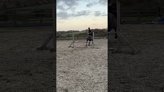 Did I stay or did I gohorse horseenthusiastequestrian horsebehaviourhorsetherapy horsemanship [upl. by Lancelle381]