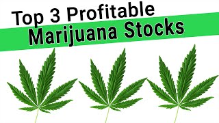 Marijuana Stocks  Top 3 Marijuana Stocks With Profits  Cannabis Stocks for the Long Run [upl. by Udenihc929]