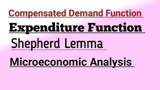 Compensated Demand Function Expenditure Function Shepherd Lemma Microeconomic Analysis mec101 maec [upl. by Joon330]