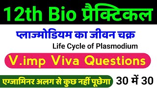 12th Biology Practical Viva  life cycle of plasmodium Viva Questions Class 12  12th Biology Viva [upl. by Nnylyt]