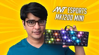 Ant Esports MK3200 Gaming Keyboard Specifications Video [upl. by Jonis361]