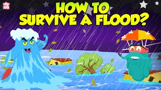 How To Survive Floods  Preparing For A Flood  The Dr Binocs Show  Peekaboo Kidz [upl. by Raynah532]