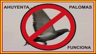 sonido 🚫🕊️ AHUYENTA PALOMAS 🚫🕊️ Funciona 🆗 4hsPALOMAS [upl. by Lativa]