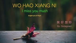 Wo Hao Xiang Ni lyric I Miss You Much  Pinyin amp English  Learn Chinese by songs [upl. by Ailec]