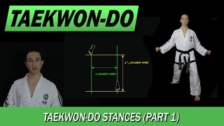 TaekwonDo Stances Part 1 [upl. by Raney189]