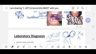 3 Diphtheria amp Moraxella  MUST 201 [upl. by Yrmac366]