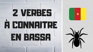 Les verbes ÊTRE et AVOIR en BASSA [upl. by Leanard]