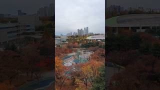 가을 단풍이 도시에 오면  When the autumn foliage arrives in the city [upl. by Yehtomit]