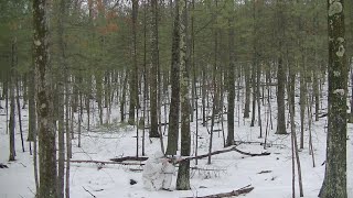 Snow Camouflage Effectiveness Test  German Snow Poncho  USGI Overwhite Pants [upl. by Heilner]