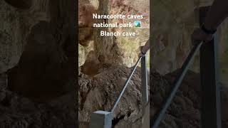 Naracoorte caves national parks 🏞️ South Australia 🇦🇺 cave travel everyone highlights [upl. by Marena]