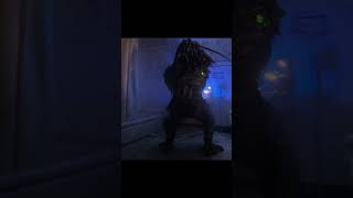 Predator Devourers show Stealth Freefall Demolition and Mental Anguish 4K edit predator2 wolf [upl. by Anders]