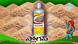 SLOGAN  FUNGICIDE  IN PADDY  TELUGU [upl. by Ignacius958]