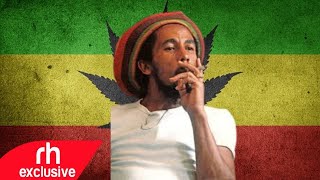 420 Reggae Mix Reggae for Ganja Lovers DJ Marl  Ganja Reggae Song 420​ mix RH EXCLUSIVE [upl. by Ovida]