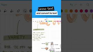 How to Convert Handwriting to Text on your iPad [upl. by Denzil890]