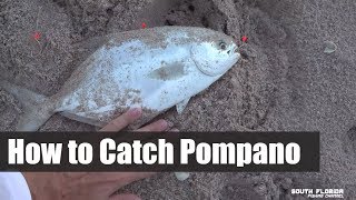 How to Catch Pompano  Catch and Cook [upl. by Asined3]