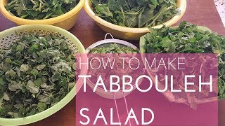 How to make Tabbouleh in few minutes Arabic Recipe 14 [upl. by Liahkim155]