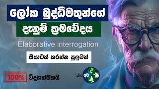 දැනුම වඩවන සුපිරිම ක්‍රමවේදය  🧠 Elaborative Interrogation in Sinhala by Bio Api  Study Techniques [upl. by Bilek]