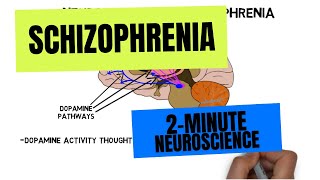 2Minute Neuroscience Schizophrenia [upl. by Loeb309]