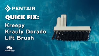 Pentair Kreepy Krauly Dorado Lift Brush  Quick Fix [upl. by Eilema]