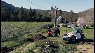 Transplantation des arbres du cours Voltaire [upl. by Diarmid]