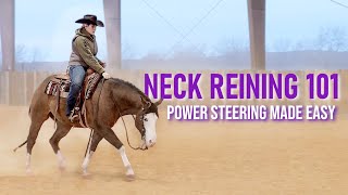 Stepbystep Teach Your Horse to NECKREIN [upl. by Esorlatsyrc]