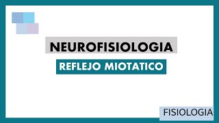 NEUROFISIOLOGIA  Reflejo Miotático [upl. by Stahl]