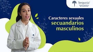 Caracteres sexuales secundarios masculinos [upl. by Letsyrk]