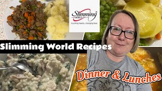 5 Syn Free Slimming World MealsRecipes for Dinners amp Lunches Healthy Meal Ideas with reviews [upl. by Dewie]