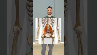 Stretch or Strengthen Hip Flexors hipflexor psoas [upl. by Htebazila]