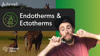 Endotherms amp Ectotherms  A Level Biology  OCR [upl. by Zabrine]