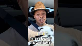 Terrence Howard Saving Kittens MAYNE [upl. by Eltsirhc]