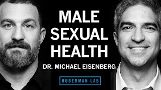 Dr Michael Eisenberg Improving Male Sexual Health Function amp Fertility [upl. by Jolyn800]