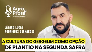 A cultura do gergelim como opção de plantio na segunda safra [upl. by Gunning540]