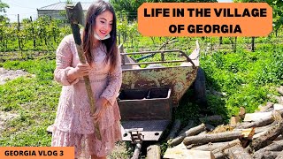 A Village life in GEORGIA  Georgia Sighnagi [upl. by Iahcedrom]