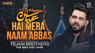 Nohay 2023  HAI MERA NAAM ABBAS  Tejani Brothers  New Noha 2023  Muharram Nohay 20231445 [upl. by Camus496]