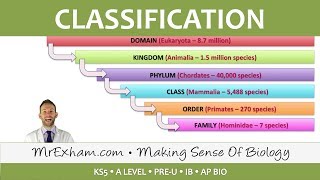 Classification  Classification Systems  Post 16 Biology A Level PreU IB AP Bio [upl. by Lilly33]