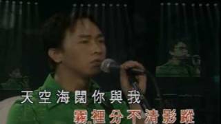 海闊天空 1996年Beyond的精彩Live amp Basic演唱會 懷愐家駒的歌曲2 [upl. by Richard]