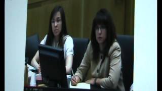 Juan Martinez Owns Alyce LaViolette  Jodi Arias Trial Battered Woman Witness [upl. by Aneeuqahs2]