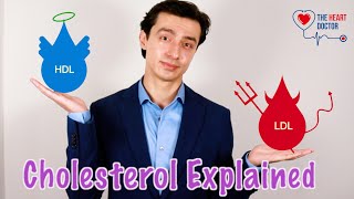 Cholesterol Explained in 5 Minutes ⏱️ [upl. by Arratoon]