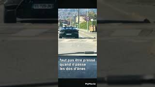 une voiture de sport de luxe passant les dos dânes [upl. by Aiyekal]