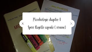 Microbiologie chapitre 4  spore flagelle capsule  résume [upl. by Airegin]