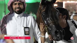 10TH ARABIAN HORSE SHOW FOR LOCAL BREEDERS IN SAUDI ARABIA 2021  HIGHLIGHTS [upl. by Nyrahs]